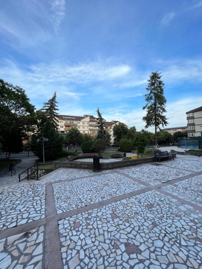 Apartament Centru Рымнику-Вылча Экстерьер фото